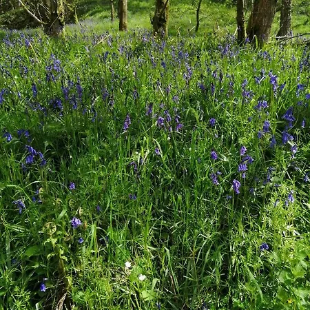 Lakes And Eden Valley. Thornhill 아파트 Long Marton