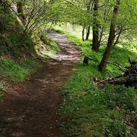 Lakes And Eden Valley. Thornhill 아파트 *