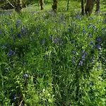 Lakes And Eden Valley. Thornhill Apartament Long Marton