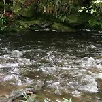 Lakes And Eden Valley. Thornhill Apartment *