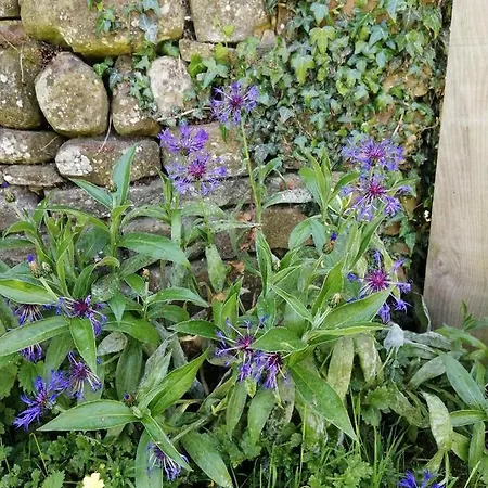 公寓 Lakes And Eden Valley. Thornhill Long Marton